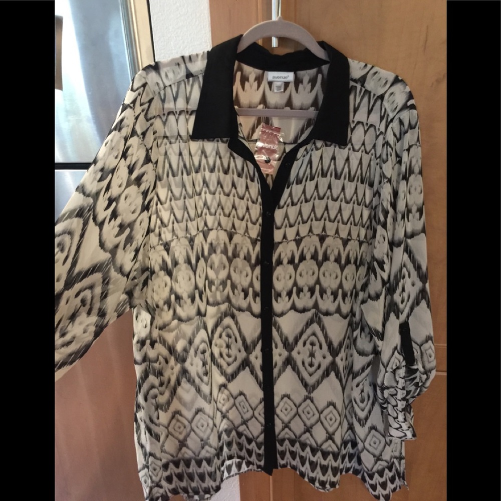 Sheer long sleeve blouse